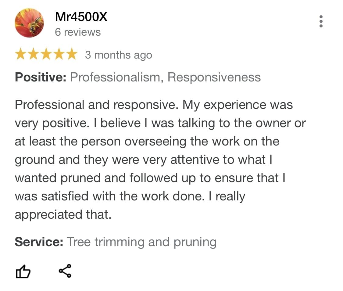 tree pruning, tree trimming, arborist, tree company, arborist, alberta arborists, tree trimming