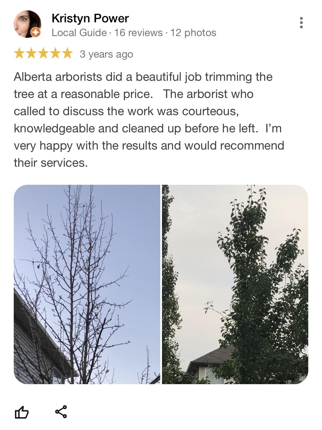 tree pruning, tree trimming, arborist, tree company, arborist, alberta arborists, tree trimming