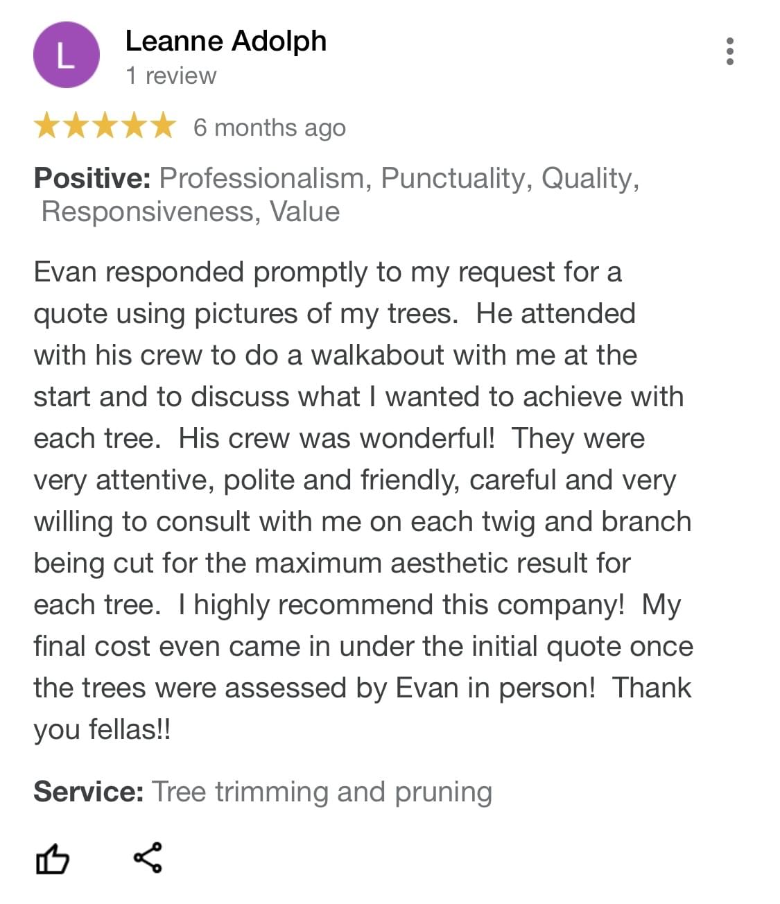 tree pruning, tree trimming, arborist, tree company, arborist, alberta arborists, tree trimming