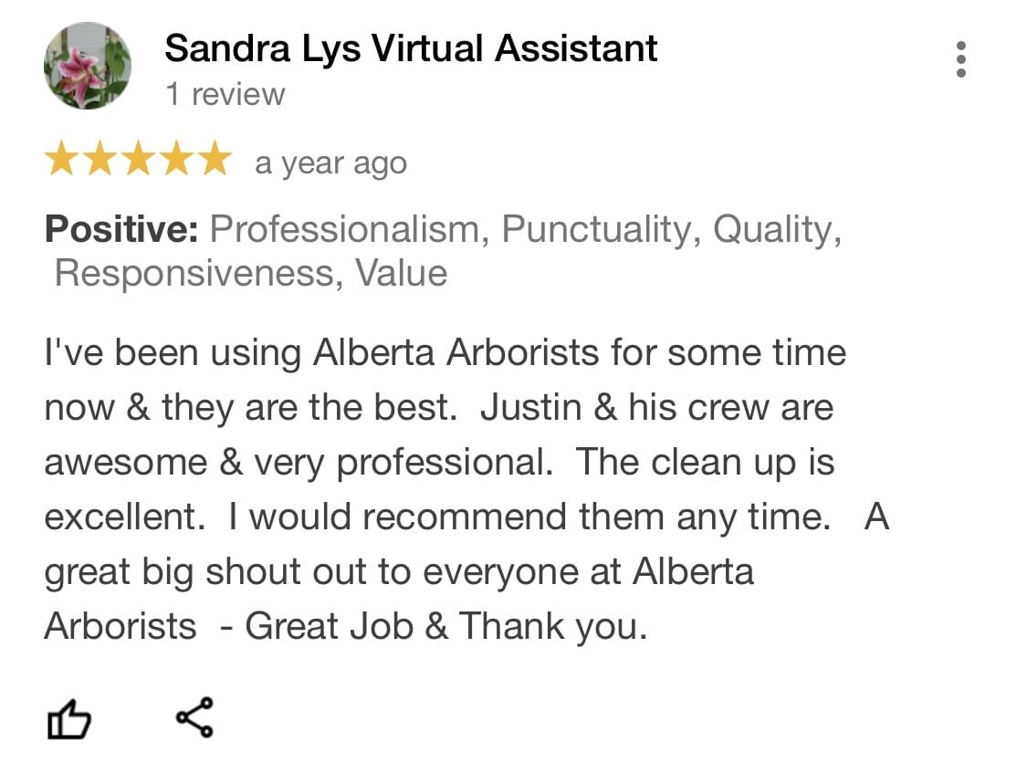 tree pruning, tree trimming, arborist, tree company, arborist, alberta arborists, tree trimming