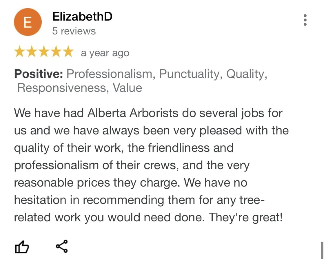 tree pruning, tree trimming, arborist, tree company, arborist, alberta arborists, tree trimming