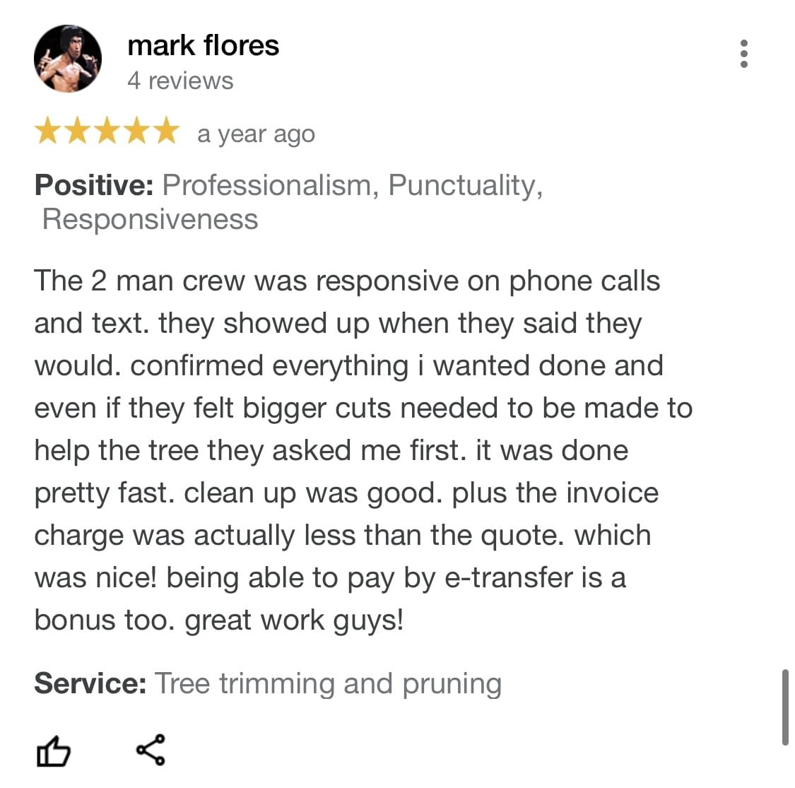 tree pruning, tree trimming, arborist, tree company, arborist, alberta arborists, tree trimming