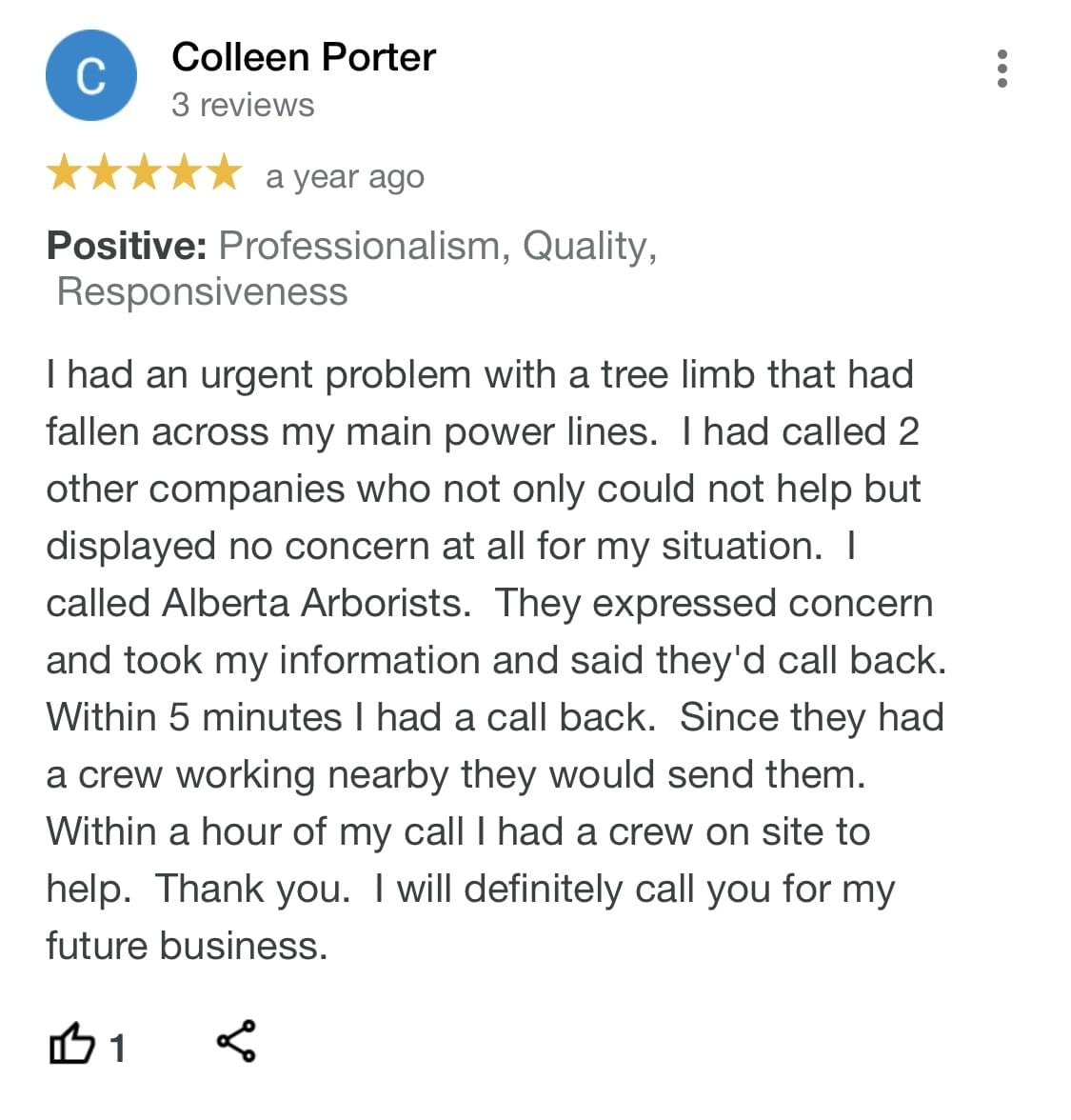 tree pruning, tree trimming, arborist, tree company, arborist, alberta arborists, tree trimming