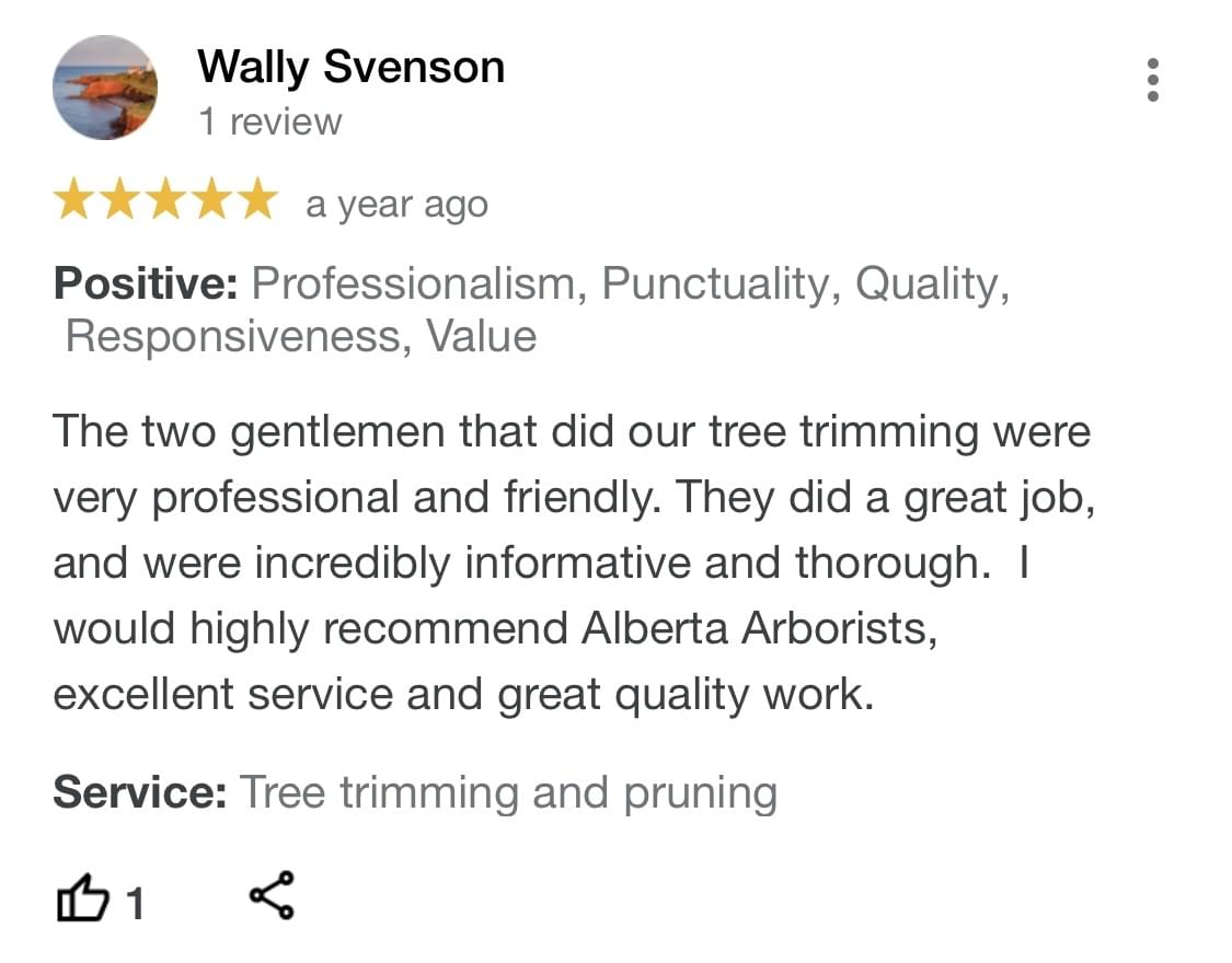 tree pruning, tree trimming, arborist, tree company, arborist, alberta arborists, tree trimming