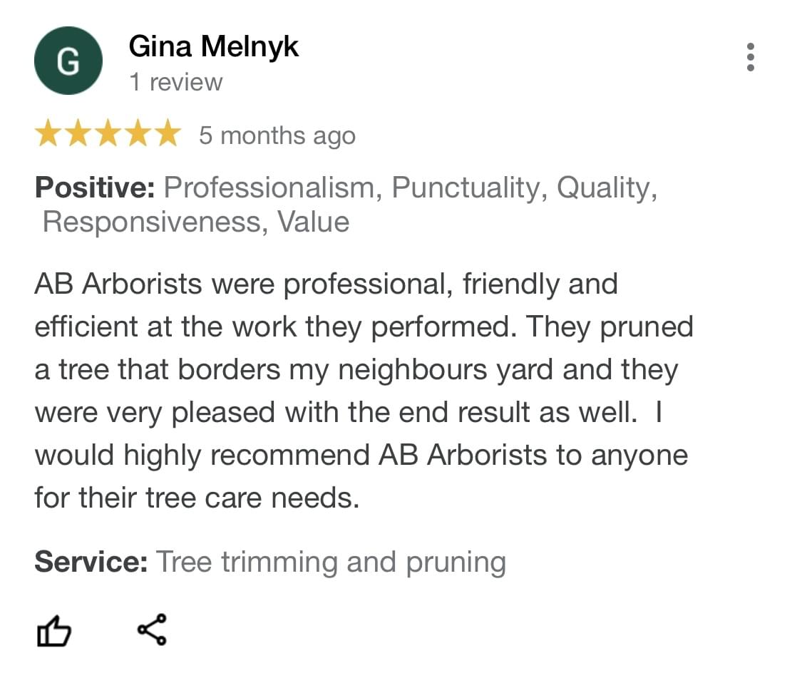 tree pruning, tree trimming, arborist, tree company, arborist, alberta arborists, tree trimming