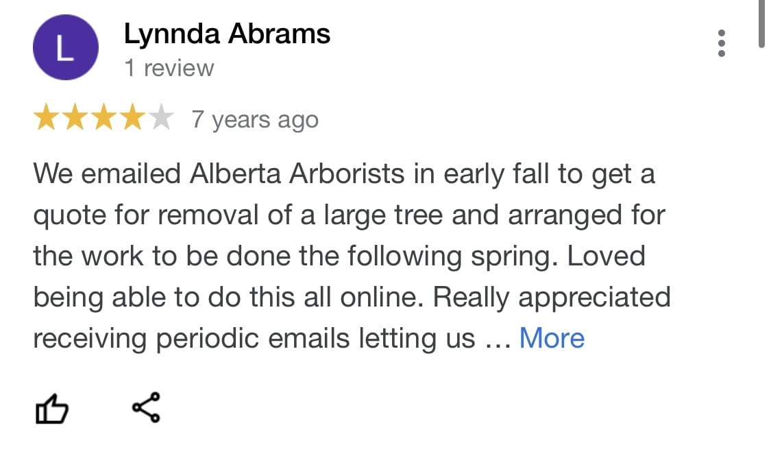 tree pruning, tree trimming, arborist, tree company, arborist, alberta arborists, tree trimming