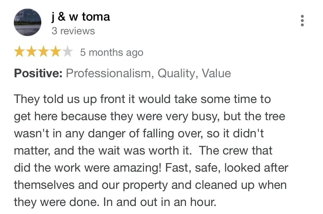 tree pruning, tree trimming, arborist, tree company, arborist, alberta arborists, tree trimming