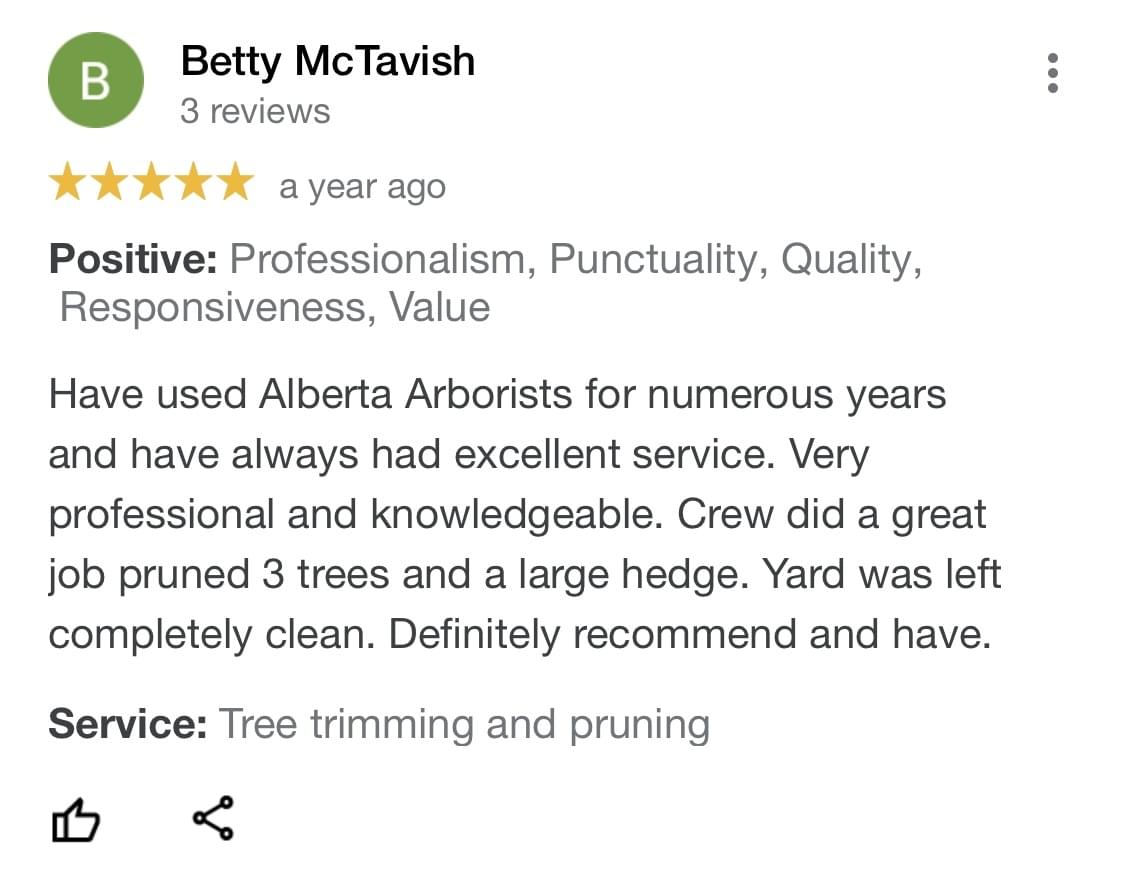 tree pruning, tree trimming, arborist, tree company, arborist, alberta arborists, tree trimming