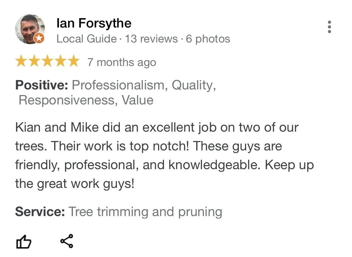 tree pruning, tree trimming, arborist, tree company, arborist, alberta arborists, tree trimming