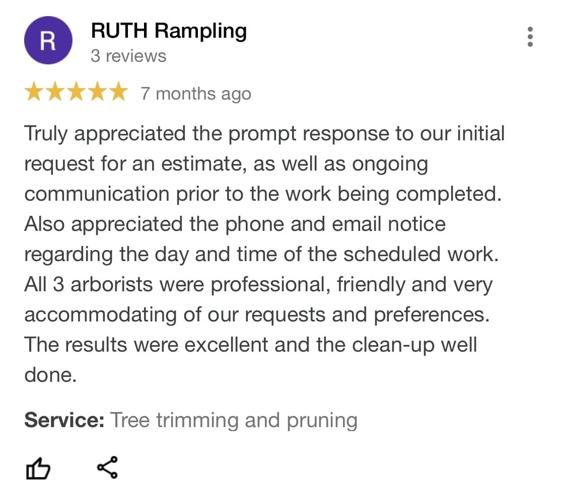 tree pruning, tree trimming, arborist, tree company, arborist, alberta arborists, tree trimming