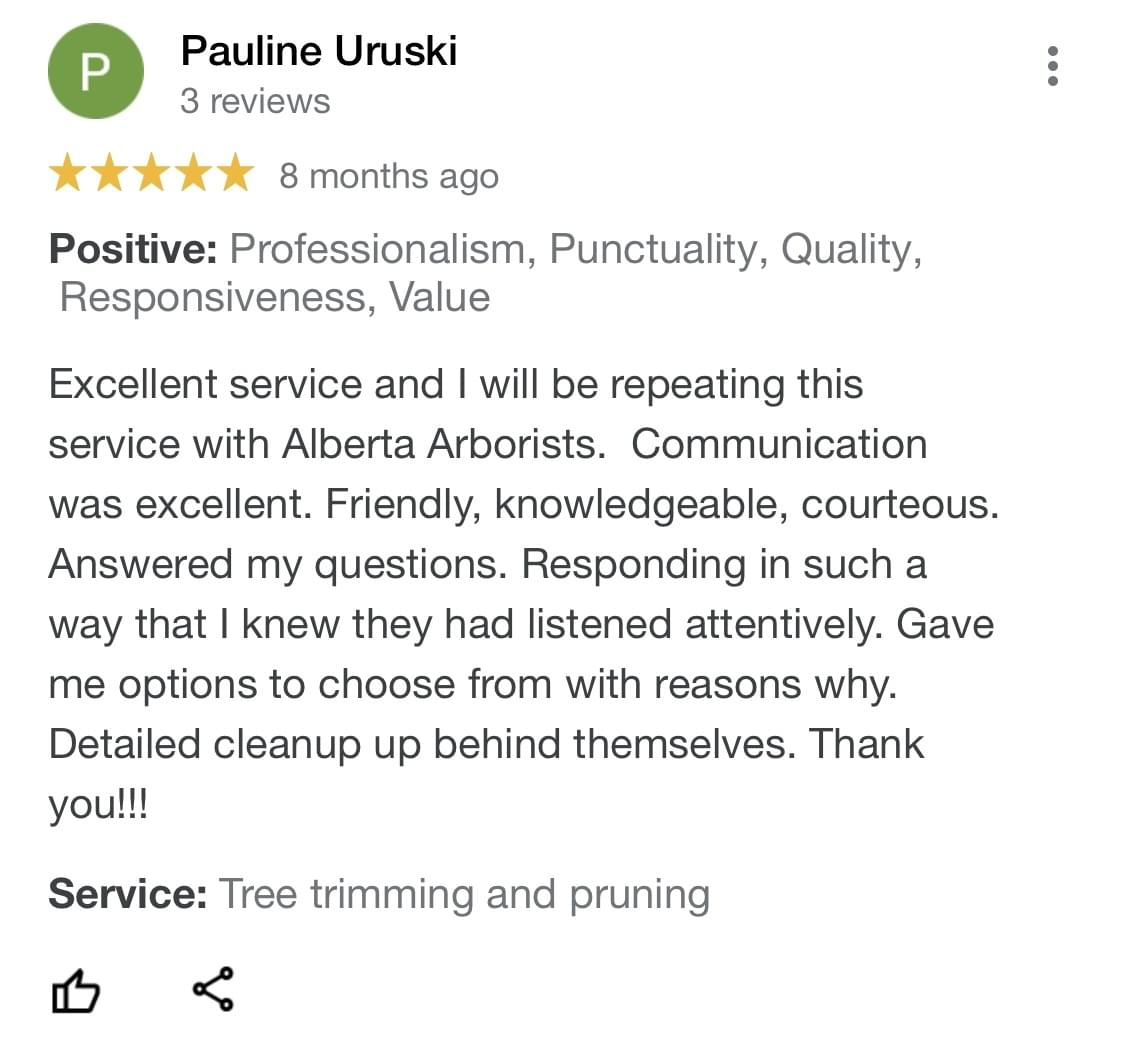 tree pruning, tree trimming, arborist, tree company, arborist, alberta arborists, tree trimming