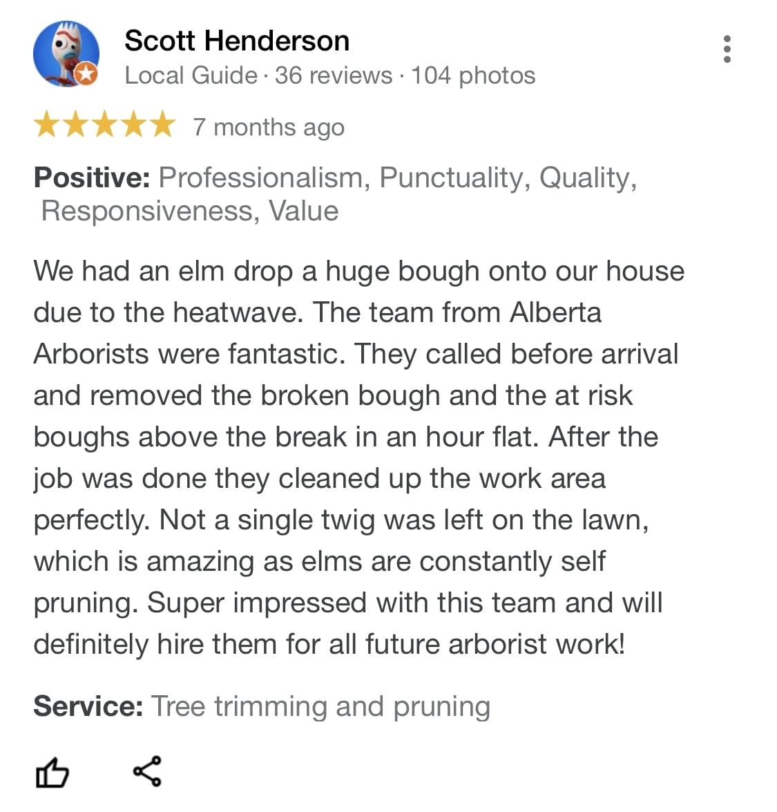 tree pruning, tree trimming, arborist, tree company, arborist, alberta arborists, tree trimming