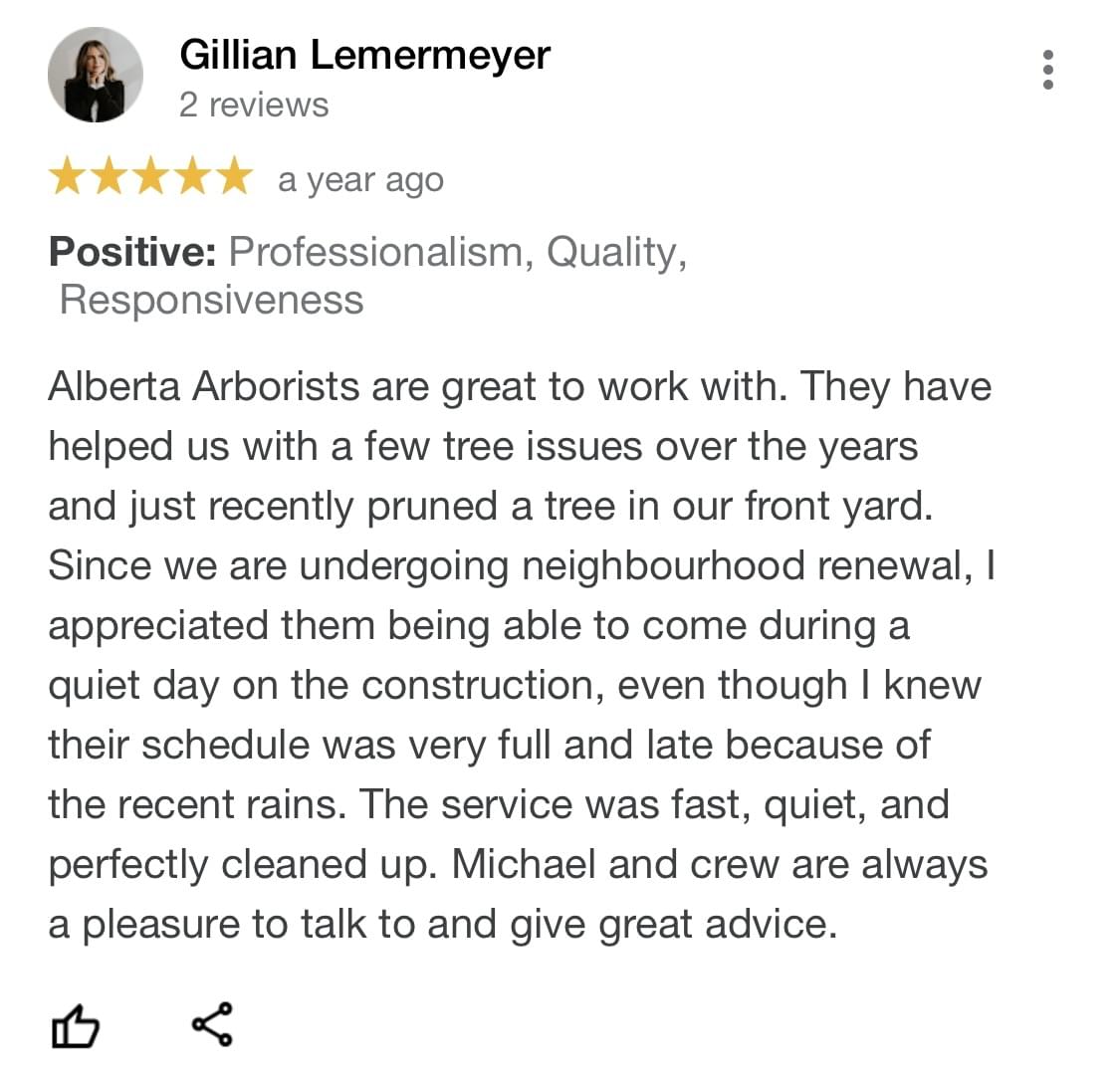 tree pruning, tree trimming, arborist, tree company, arborist, alberta arborists, tree trimming