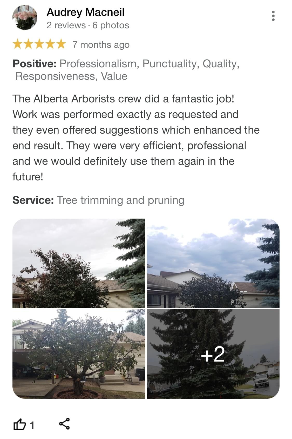tree pruning, tree trimming, arborist, tree company, arborist, alberta arborists, tree trimming